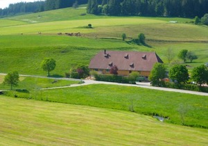 Apartment Oswaldenhof in Vöhrenbach - 3 persons, 1 bedrooms