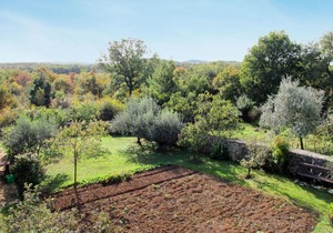 Apartment Smilja - PRC600
