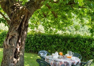 Apartment Vigna La Corte-5 by Interhome