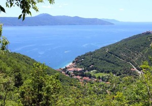 Apartments with parking space Moscenicka Draga, Opatija - 7746
