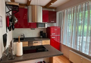 App 622 Panoramic Hohegeiß mit WLan Terrassenhaus
