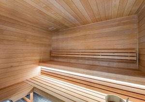 Appartement élégant près des pistes avec sauna, hammam, salle de sport et parking couvert - FR-1-569-47