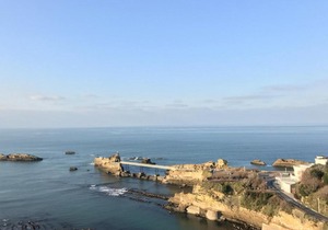 Appartement Biarritz, 2 pièces, 4 personnes - FR-1-3-393