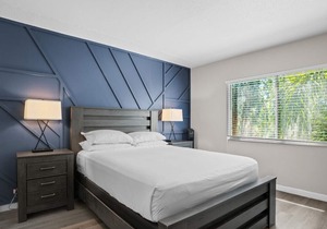Apt 206 · Westshore South Tampa Apt
