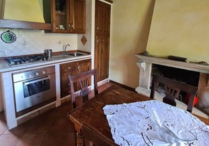 Apt in 19th century farmhouse near Cortona, pool, garden and beautiful views