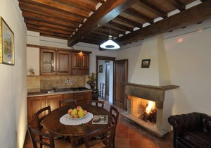 Apt in 19th century farmhouse near Cortona, pool, garden and beautiful views