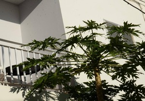 Apt. Orone Nº 3 - Two Bedroom Apartment, Sleeps 4