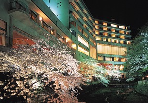 Arima Onsen Gekkoen Korokan
