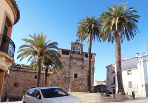 At las palmeras 1