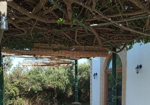 Atheneon Rhodes Studio with Sea View 1
