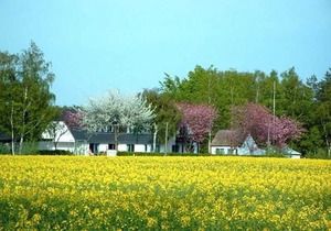 aTyp 1. 1 EZ - Rügen-Fewo u. Pension 93