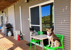 Award Winning, Pet Friendly Accommodation
