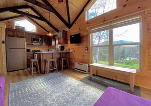 B10 NEW Awesome Tiny Home with AC Mountain Views Minutes to Skiing Hiking Attractions