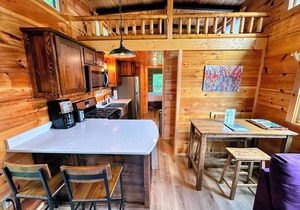 B11 Awesome "Tiny Home" A/C, Mountain Views, Minutes to Skiing, Hiking, Attractions, Dog Friendly!