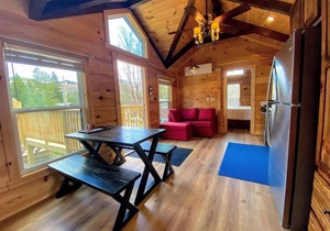 B3 Awesome "Tiny Home" A/C, Mountain Views, Minutes to Skiing, Hiking, Attractions, Dog Friendly!