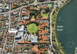 B6 Crawley Apartment 1 BRM & Sleepout near UWA