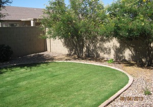 Back patio