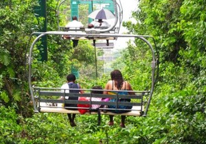 Bamboo Breeze Inn