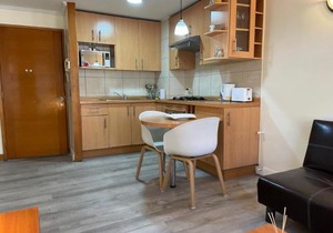 Barrio Lastarria, Excelentes Apartamentos - Sofia Camilla Propiedades