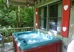 Bear Paw #7(1 bedroom Queen)Private; secluded.Hot tub cottage;Pet Friendly