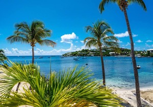 Beautiful 2BR condo! at the Elysian- Cowpet Beach!