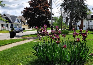 BEAUTIFUL 3bd 2br /BLOCKS AWAY FROM NOTRE DAME /EDDY ST