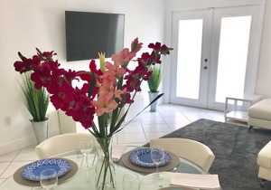 Beautiful Apartment in Miami—-Shamrock Kendall