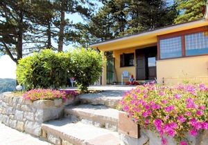 Beautiful home with terrace, located in nature