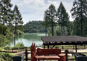 Beautiful Rollins Lake Inn - Studio Cabin #2