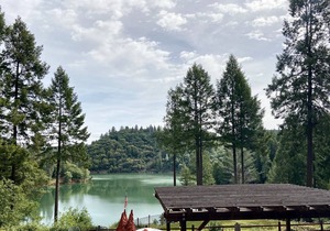 Beautiful Rollins Lake Inn - 2bd/1bth Cabin #4