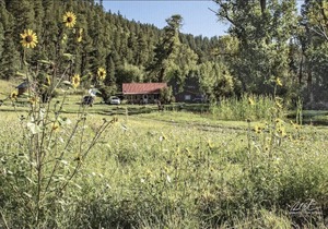 Beautiful Rustic Cabin Right on the Pecos River.
