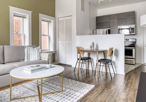 Beautiful South Loop 1BR nr L & Grant Park, by Blueground