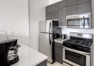 Beautiful South Loop 1BR nr L & Grant Park, by Blueground