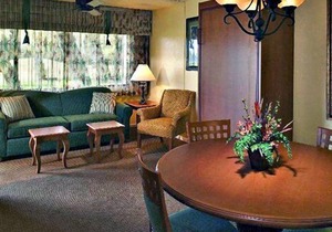Beautiful studio unit at resort, sleeps 4