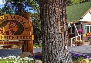 Beautiful studio unit at resort, sleeps 2