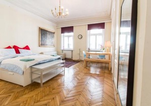Beautiful Viennese apartment