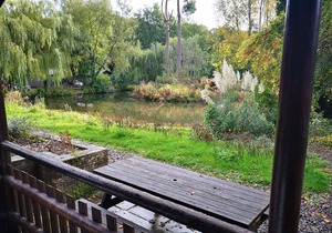 Beaver 1 HuntersMoon-warminster-Wiltshire
