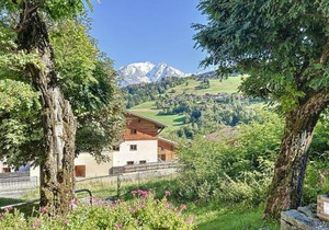 Bel Apt au Centre de Combloux avec Jardin, Balcon, Wifi et Parking à 300m des Commerces - FR-1-560-52