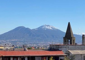 Bellini View
