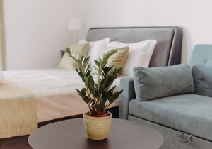 Best House, Nirvana II, Patra