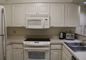 Best Place to Stay in Saddlebrook Resort Wesley Chapel Florida