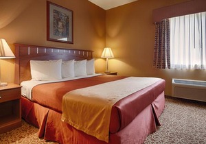Best Western Denton Inn