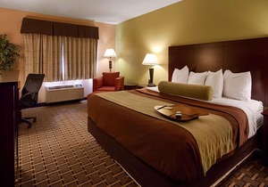 Best Western Plus Executive Inn Saint Marys