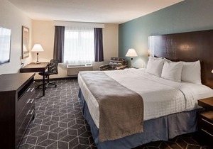 BEST WESTERN Plus Portage Hotel and Suites