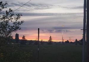 Best Western Plus Renton Inn