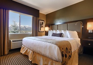 Best Western Vista Inn