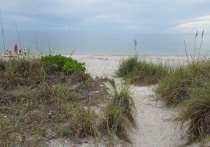 Boardwalk by the Beach