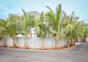 Bois Mapou Self Catering Apartments Unit 204