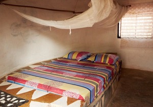 Boxes 7,8 and 9 with private showers for 6 people