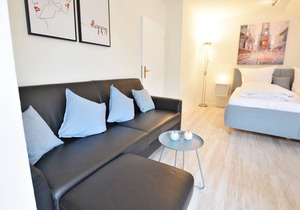 Bright and modern 1-room apartment in the spa area of ​Bad Kreuznach